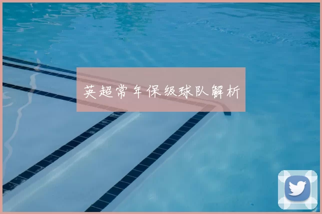 英超常年保级球队解析