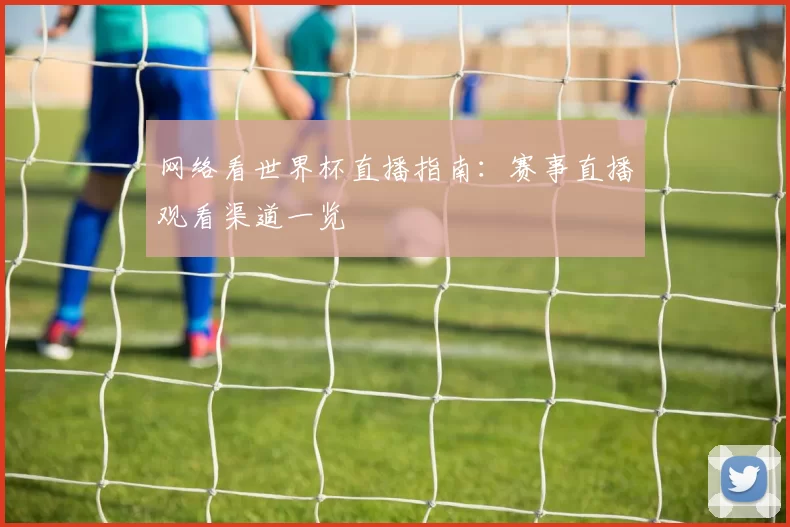 网络看世界杯直播指南：赛事直播观看渠道一览