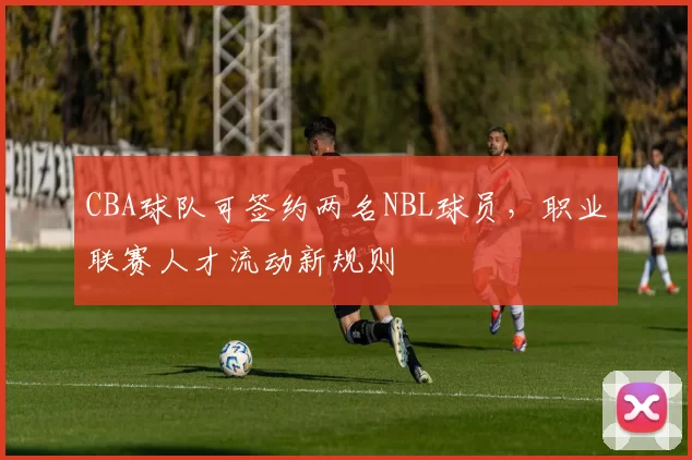 CBA球队可签约两名NBL球员，职业联赛人才流动新规则