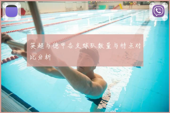 英超与德甲各支球队数量与特点对比分析