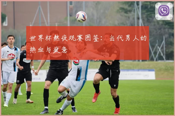 世界杯熬夜观赛图鉴：当代男人的热血与疲惫