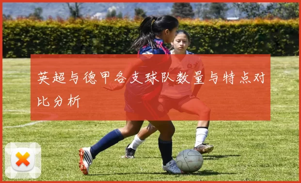 英超与德甲各支球队数量与特点对比分析