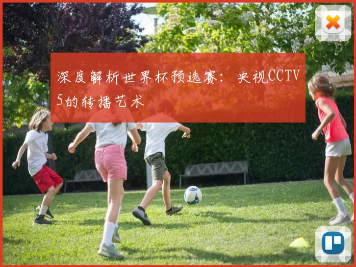 深度解析世界杯预选赛：央视CCTV5的转播艺术