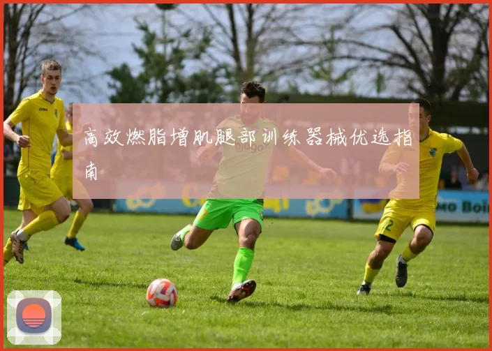 高效燃脂增肌腿部训练器械优选指南