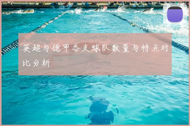 英超与德甲各支球队数量与特点对比分析