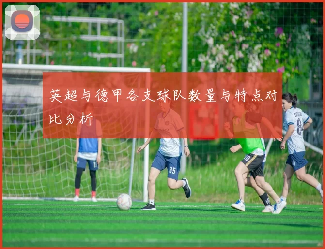 英超与德甲各支球队数量与特点对比分析