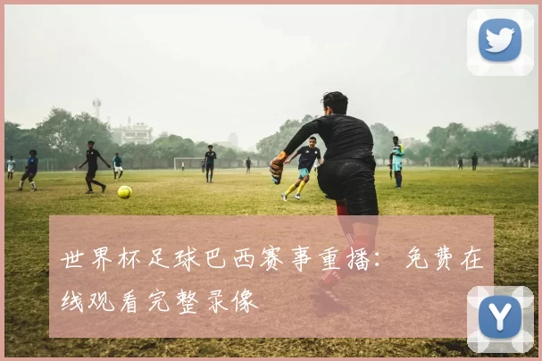 世界杯足球巴西赛事重播:免费在线观看完整录像