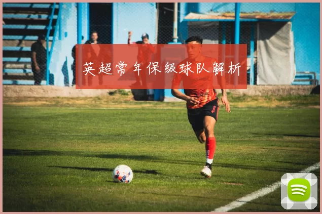 英超常年保级球队解析