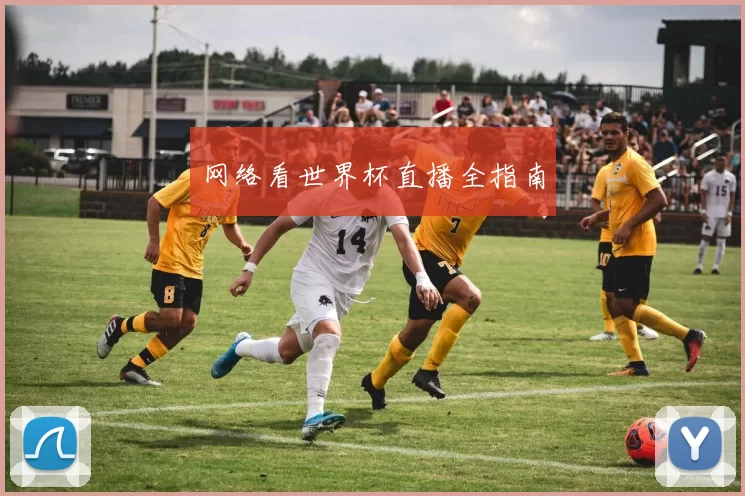 网络看世界杯直播全指南