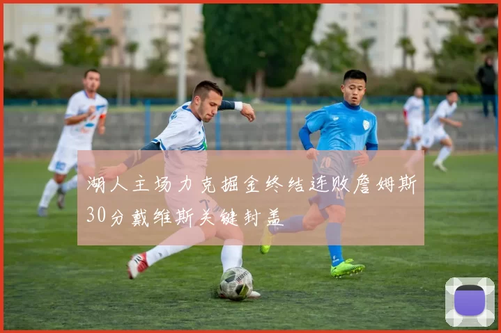 湖人主场力克掘金终结连败詹姆斯30分戴维斯关键封盖