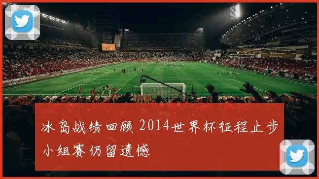 冰岛战绩回顾 2014世界杯征程止步小组赛仍留遗憾