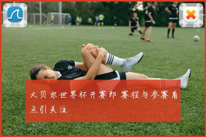 大贝尔世界杯开赛即 赛程与参赛看点引关注