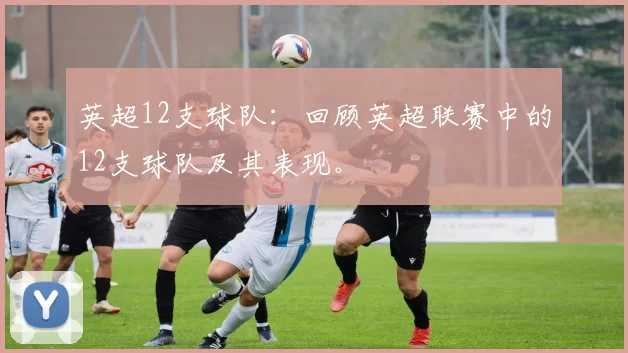 英超12支球队：回顾英超联赛中的12支球队及其表现。