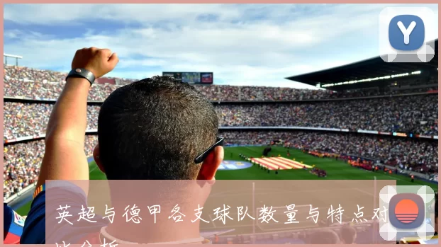 英超与德甲各支球队数量与特点对比分析