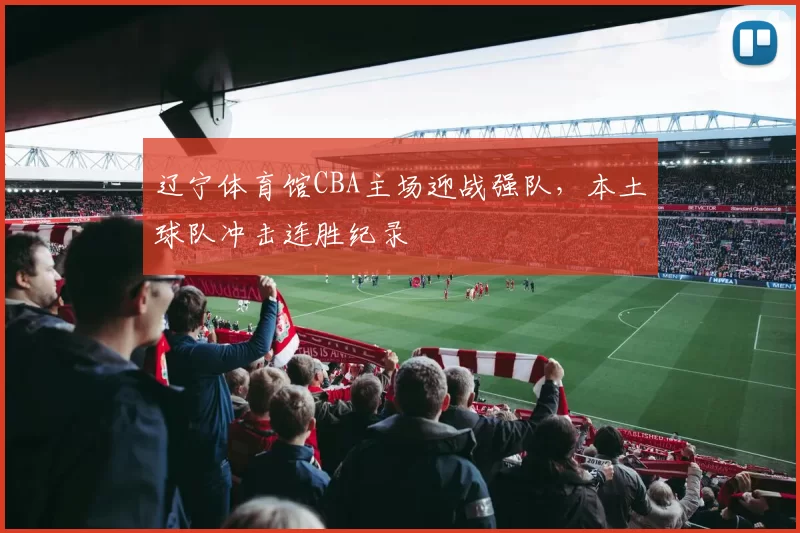 辽宁体育馆CBA主场迎战强队，本土球队冲击连胜纪录