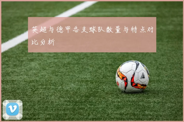 英超与德甲各支球队数量与特点对比分析